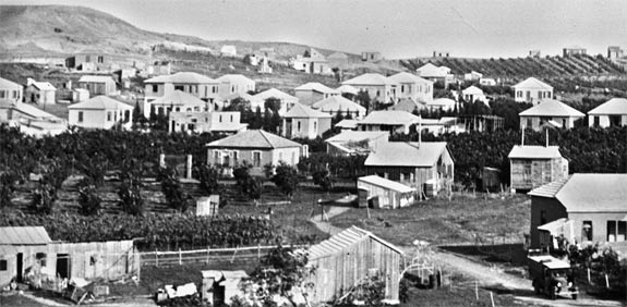 רמת גן תמונה משנות השלושים / צלם: אוסף התצלומים של קקל, מתוך ארכיון וילנאי